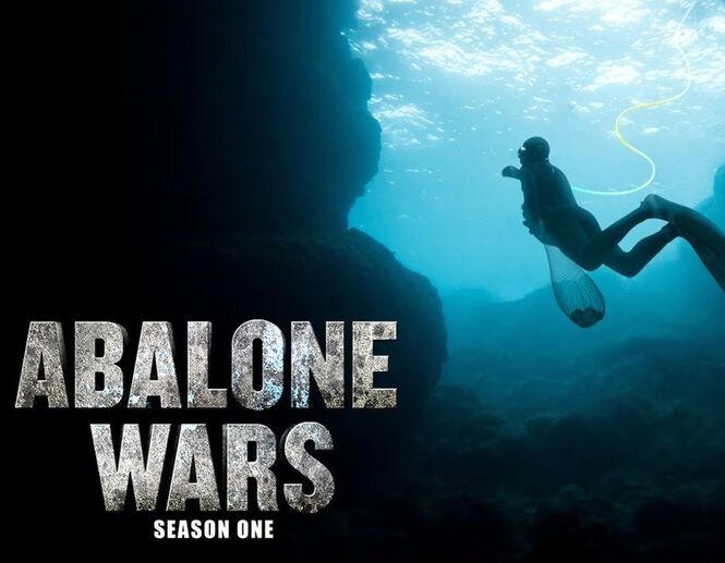 Abalone Wars